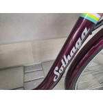 градски алуминиев велосипед SOLHAGA 28 цола SHIMANO NEXUS градски алуминиев велосипед SOLHAGA 28 цола SHIMANO NEXUS